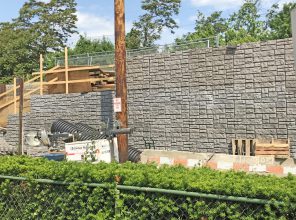 Cherry Lane Bridge 06-03-19